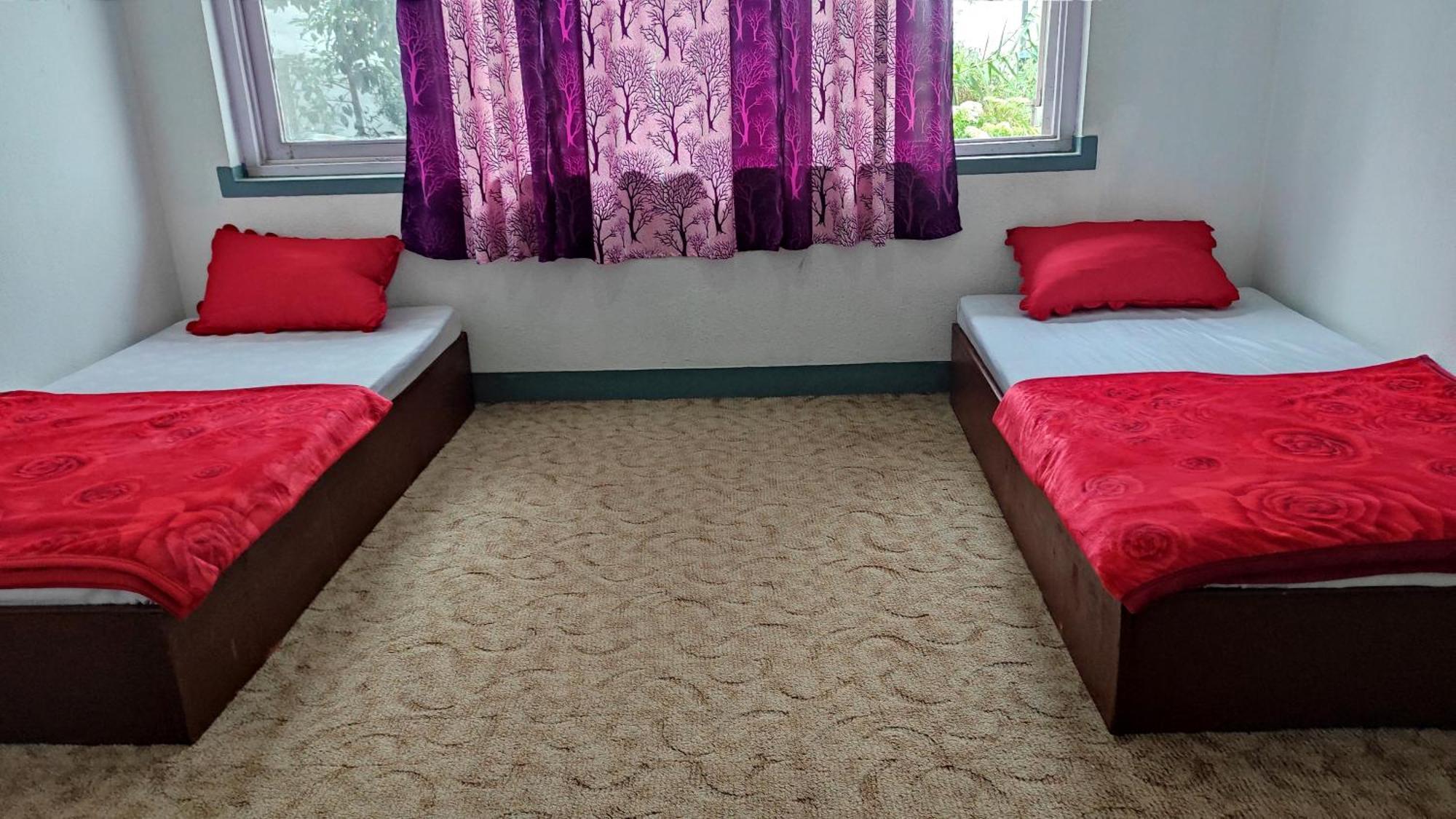 Budget Backpackers Hotel Lalitpur Экстерьер фото