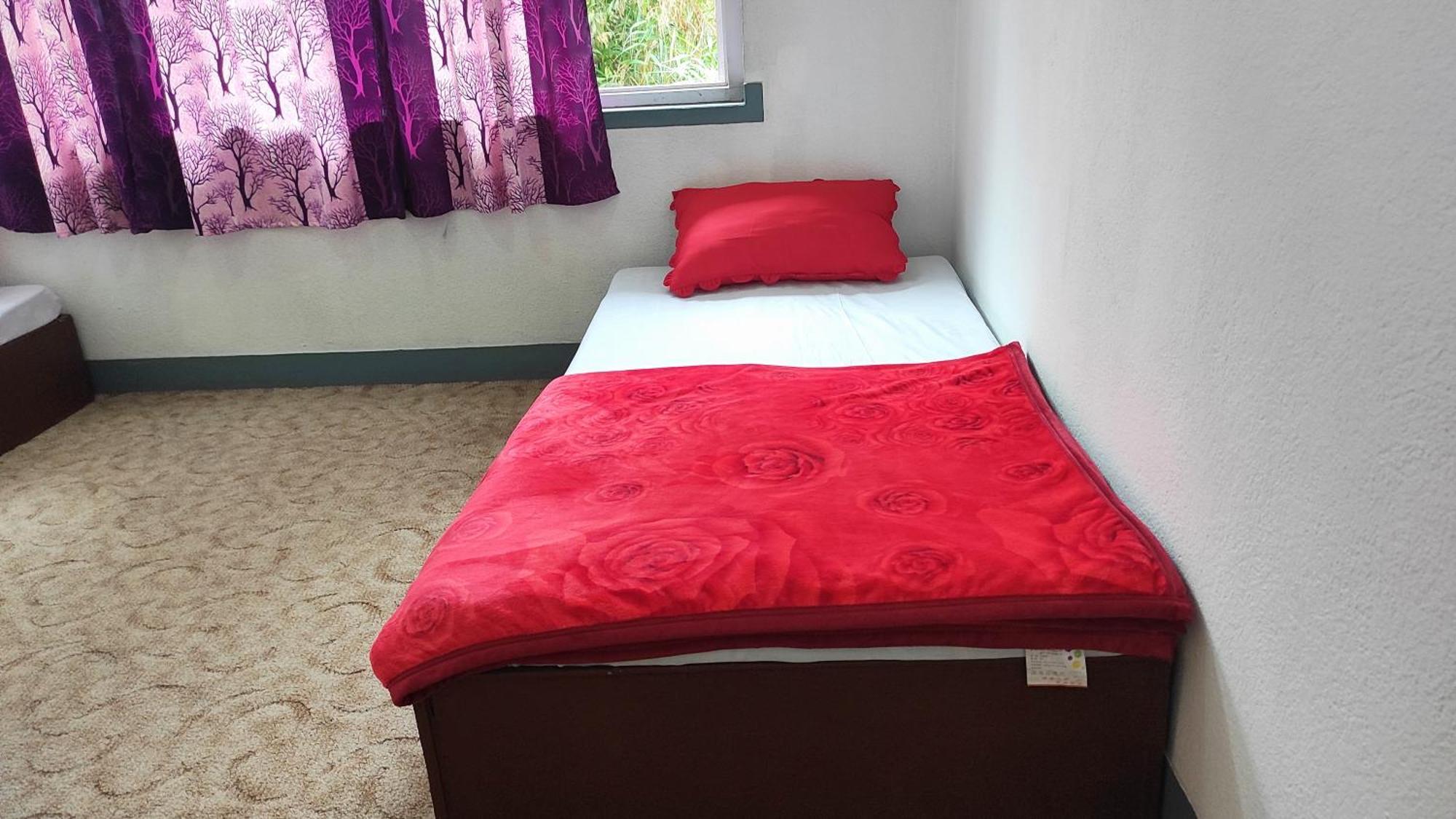 Budget Backpackers Hotel Lalitpur Экстерьер фото