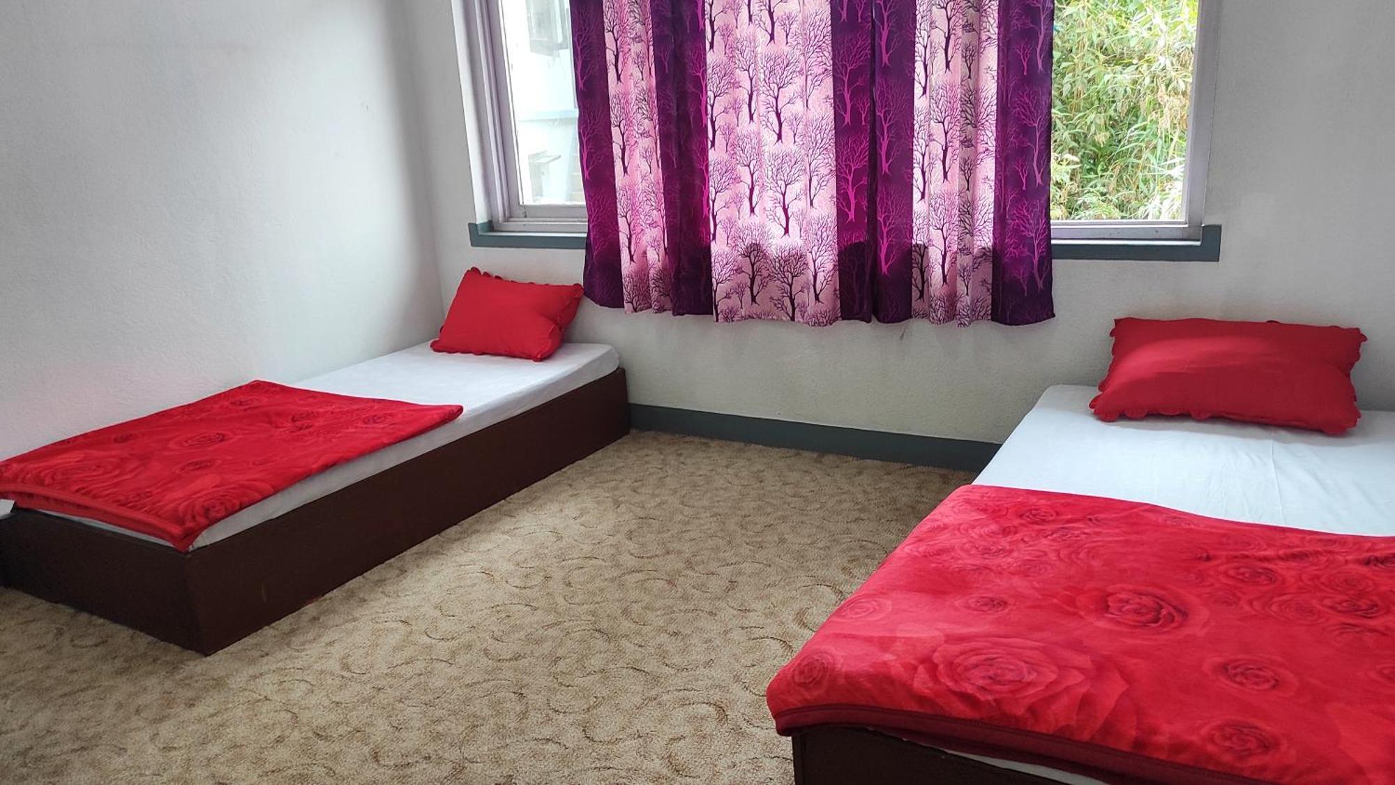 Budget Backpackers Hotel Lalitpur Экстерьер фото